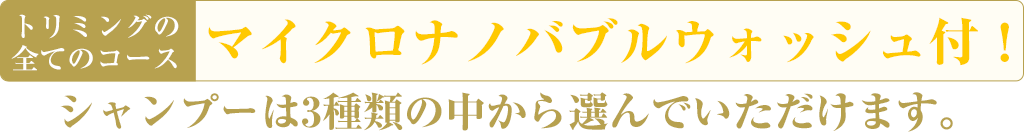 トリミングシャンプー