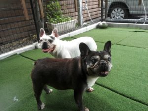 IMG_20170822_120748