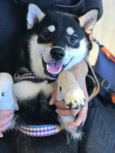 IMG_1254
