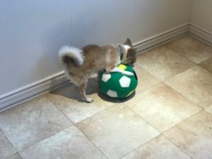 IMG_1268