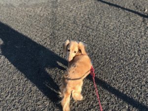 IMG_3901