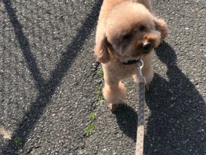 IMG_0727