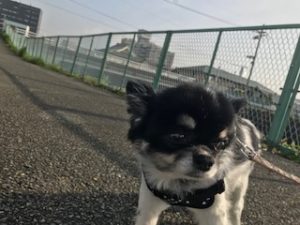 IMG_8070