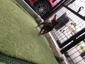 IMG_1577