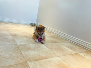 IMG_5685