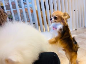 IMG_0095