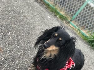 IMG_1036