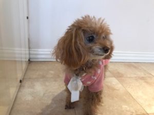 IMG_1059