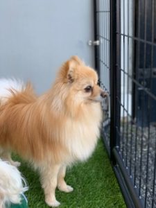 IMG_5744