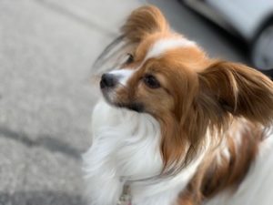 IMG_3035