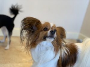 IMG_3760