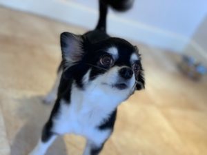 IMG_3778