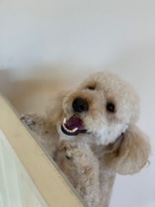IMG_3794