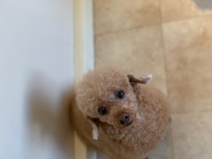 IMG_0735