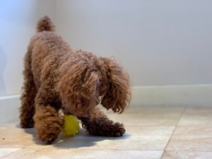 IMG_5077