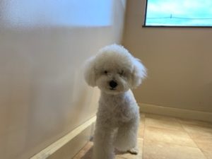 IMG_0097