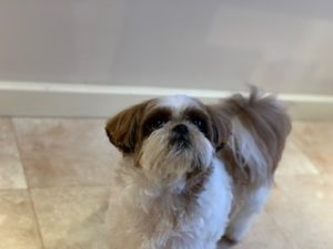 IMG_0649