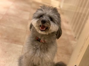 IMG_3291