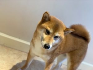 IMG_3659