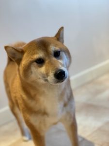 IMG_3661