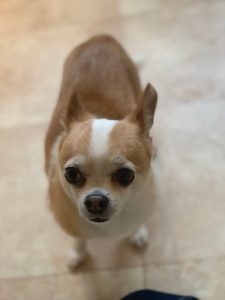 IMG_6250
