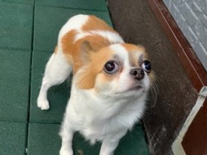 IMG_3772