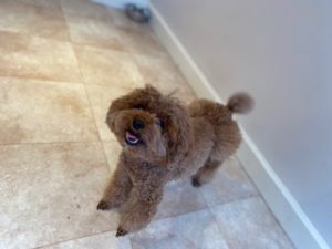 IMG_2824