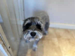 IMG_1153