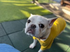 IMG_4065